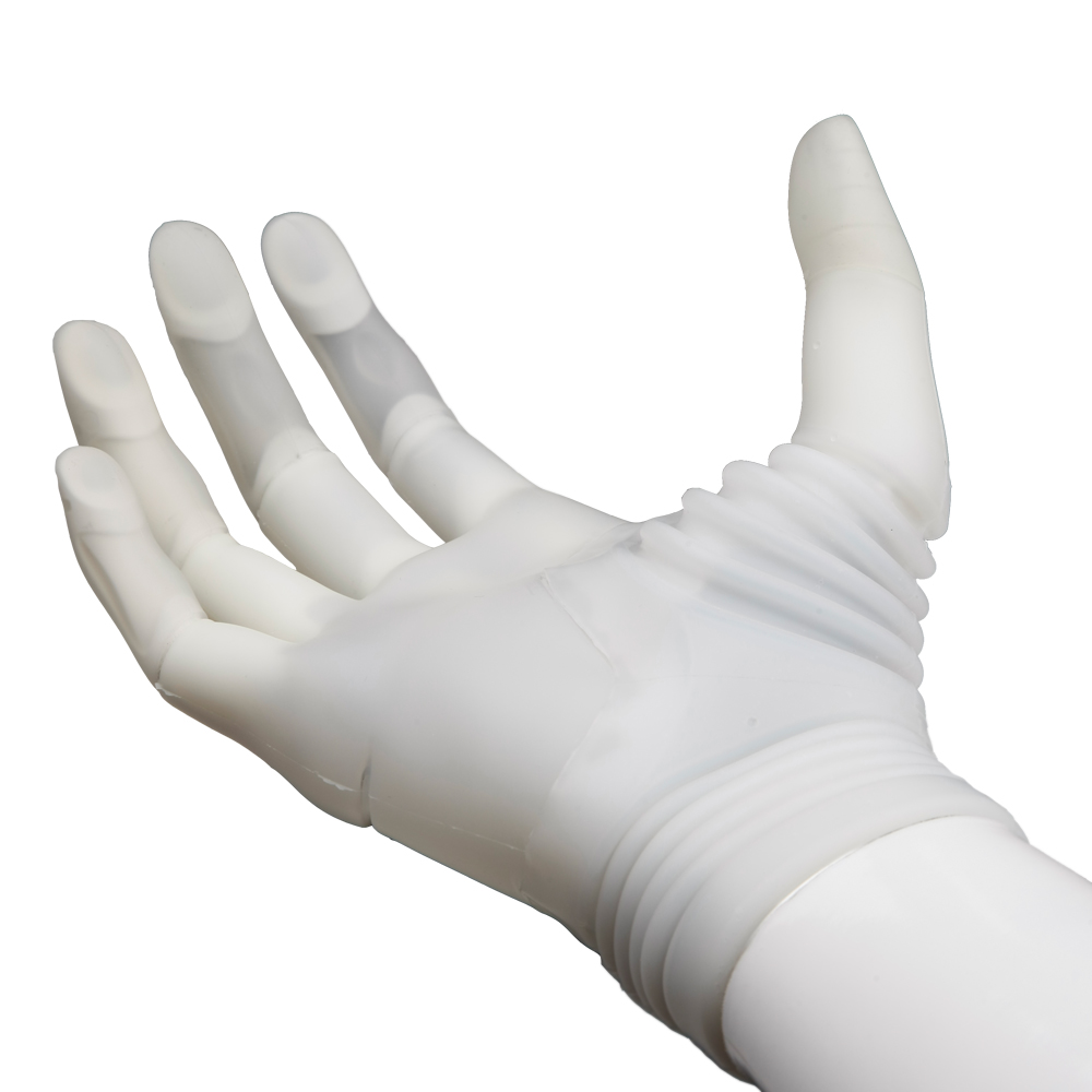 Michelangelo Hand